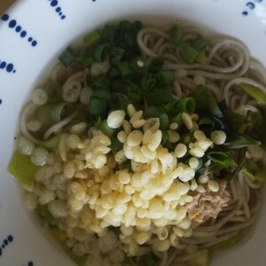 天かす蕎麦 （たぬきそば?）